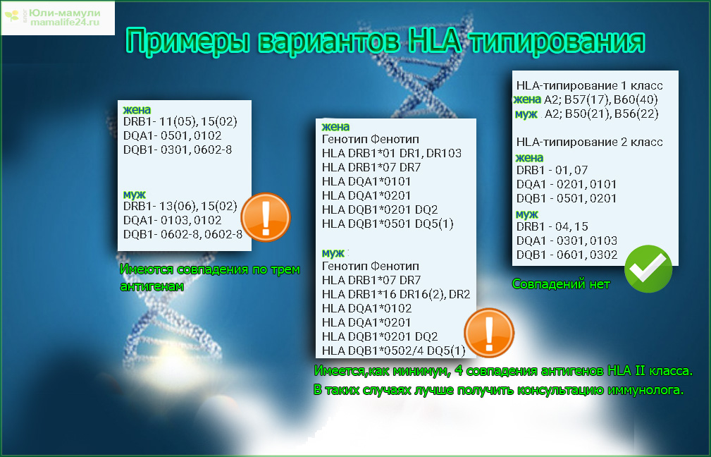 Расшифровка результатов HLA-типирования. примеры