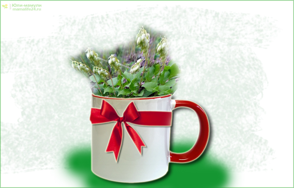 боровая матка