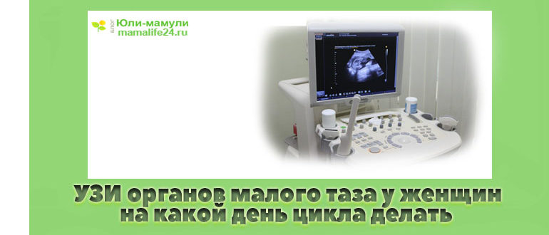 УЗИ органов малого таза у женщин на какой день цикла делать