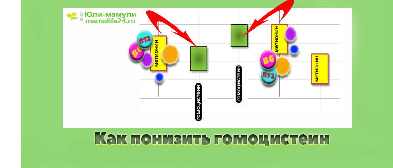 Как понизить гомоцистеин