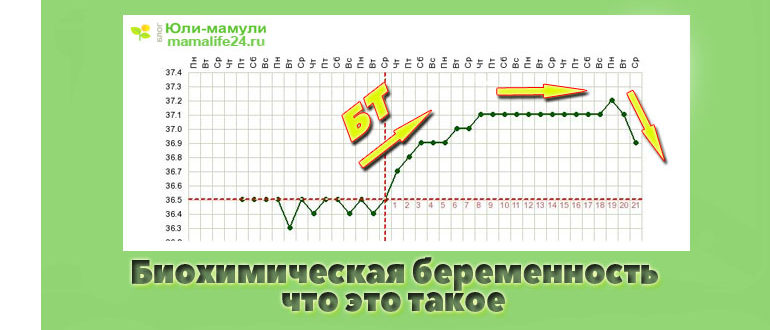 Биохимическая беременность что это такое